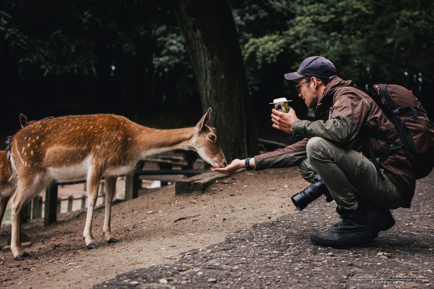 Das grüne Abitur – Hege und Pflege von Wald und Wild
