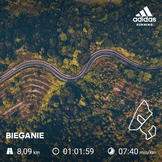 Ergebnis FRICKE Social Run 2020